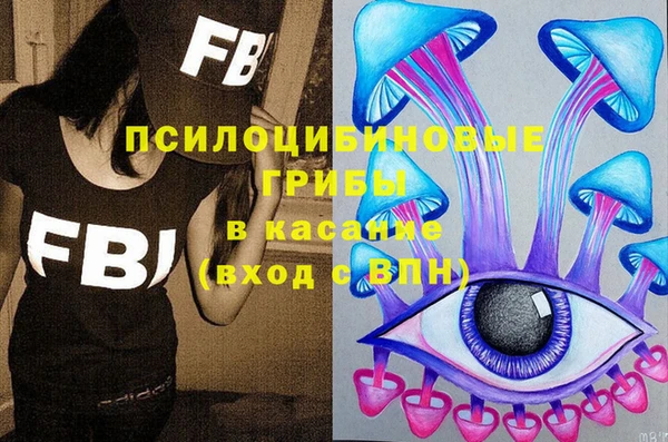 дмт Абаза