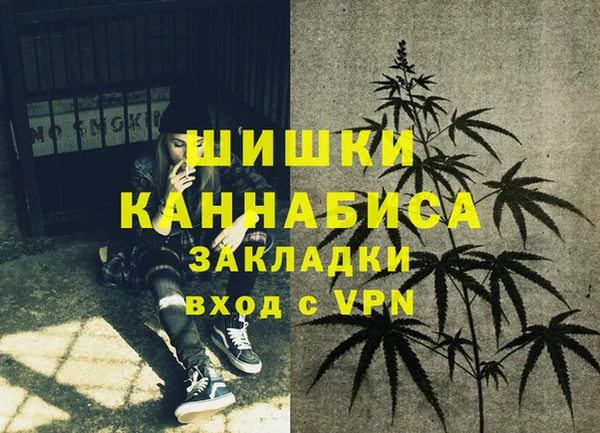 дмт Абаза