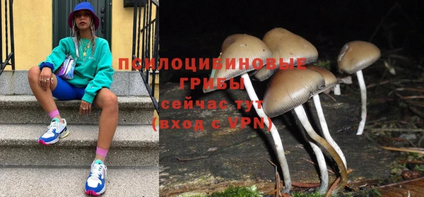 бошки Абдулино