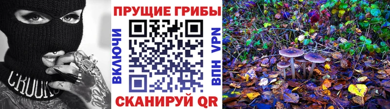 omg рабочий сайт  Весьегонск  Псилоцибиновые грибы мицелий  дарнет шоп 